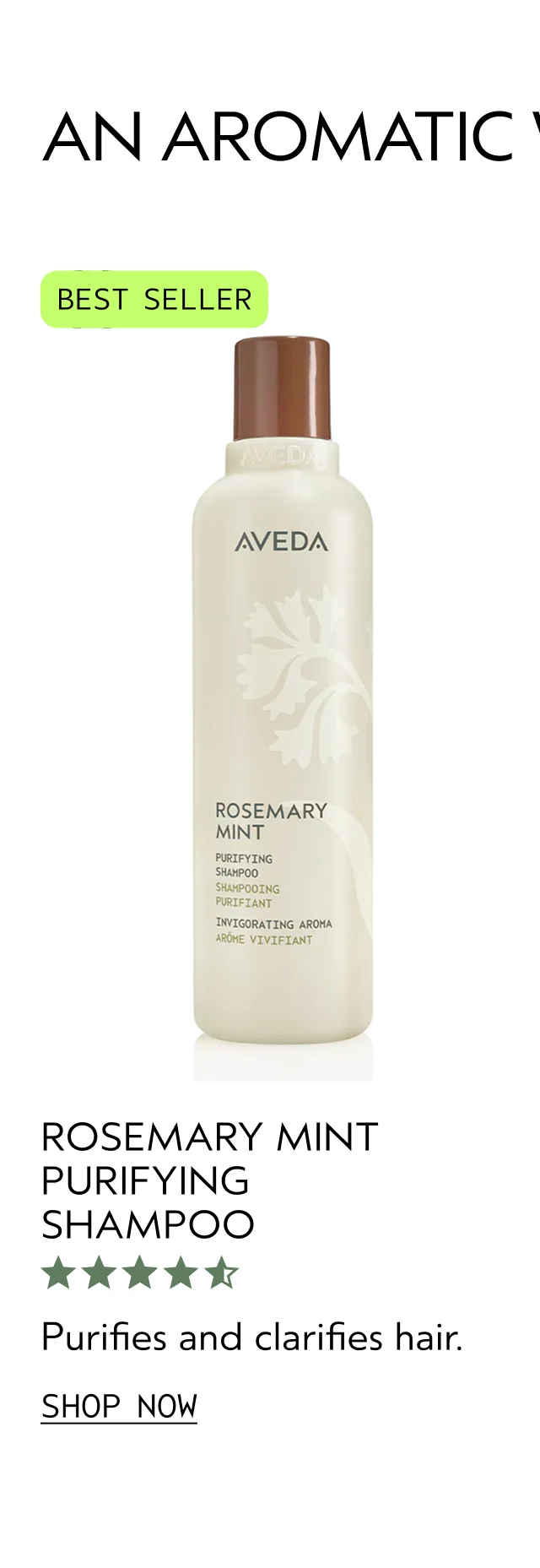ROSEMARY MINT PURIFYING SHAMPOO Purifis and clarifies hair. SHOP NOW