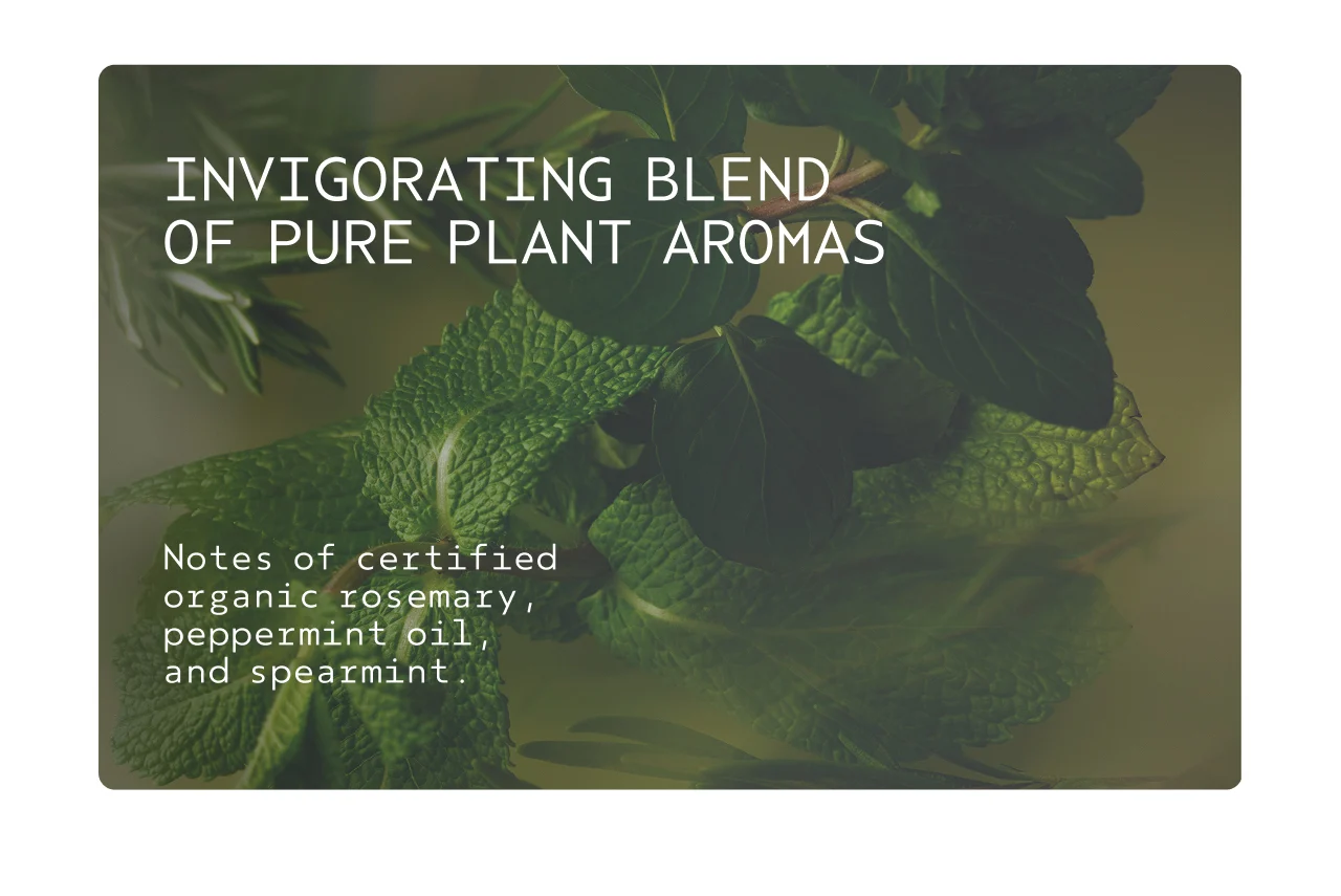 INVIGORATING BLEND OF PURE PLANT AROMAS Notes of certified organic rosemary, peppermint oil, and spearmint.
