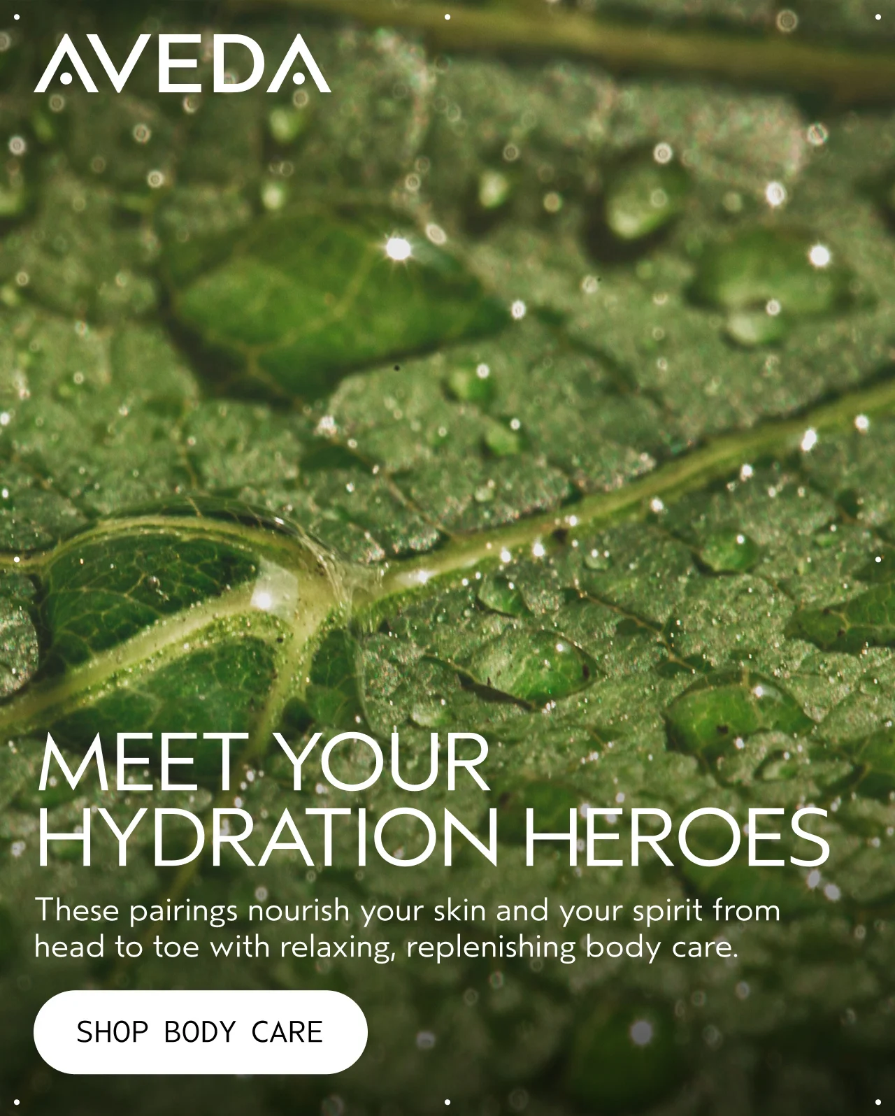 MEET YOUR HYDRATION HEROES These pairings nourish your skin and your spirit from head to toe with relaxing, replenishing body care. SHOP BODY CARE