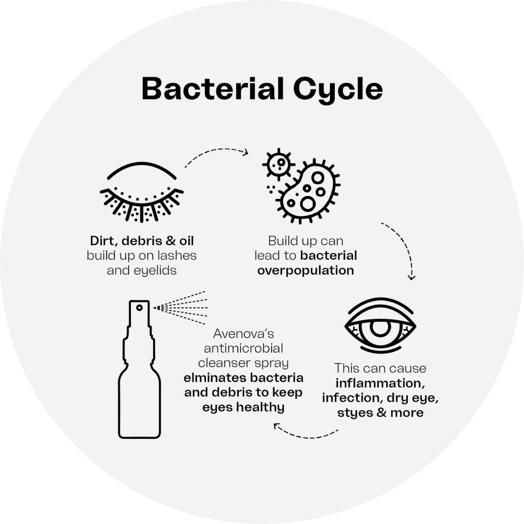 The Bacterial Cycle