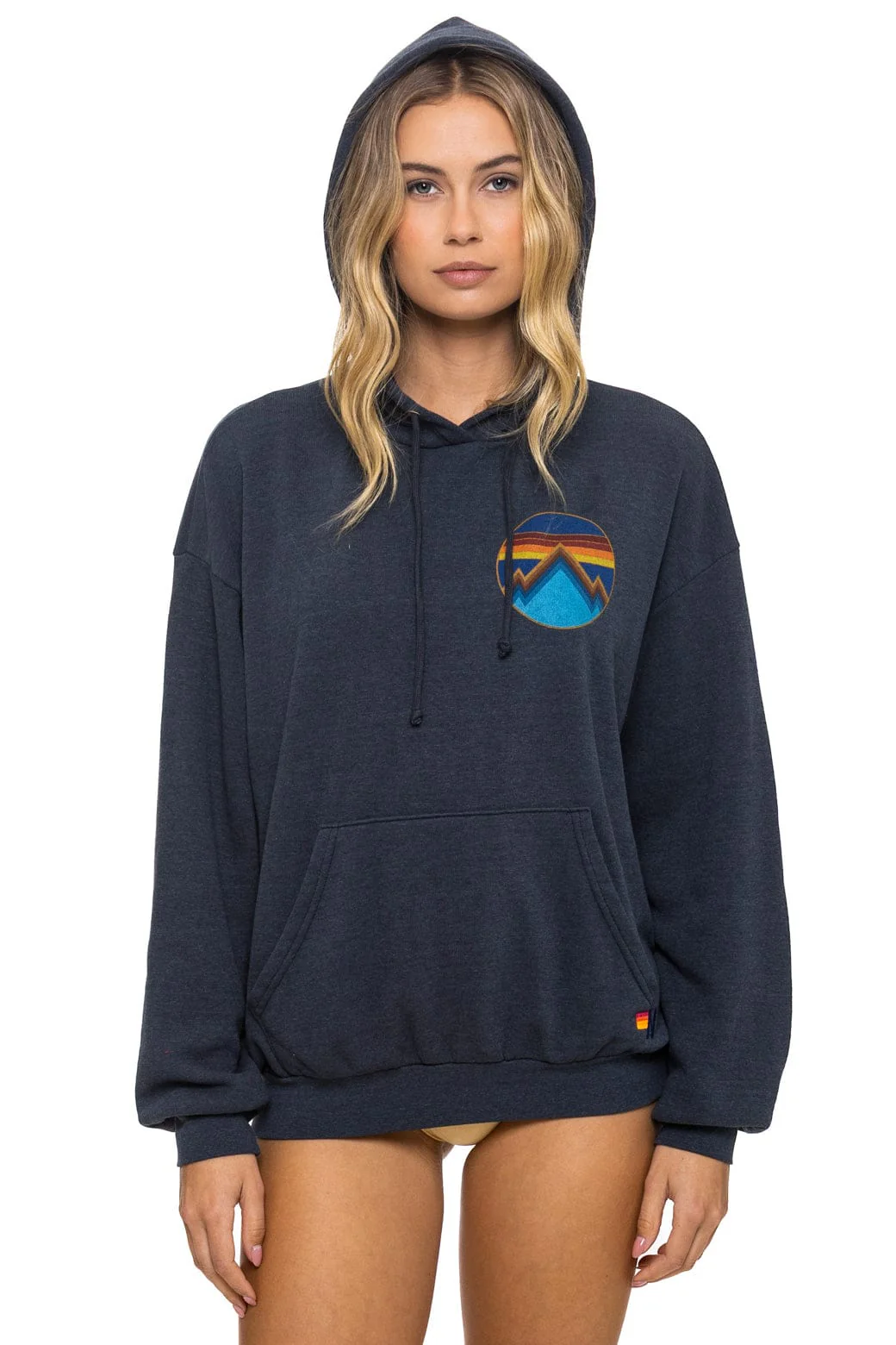 Image of ALL SEASONS RELAXED PULLOVER HOODIE - CHARCOAL