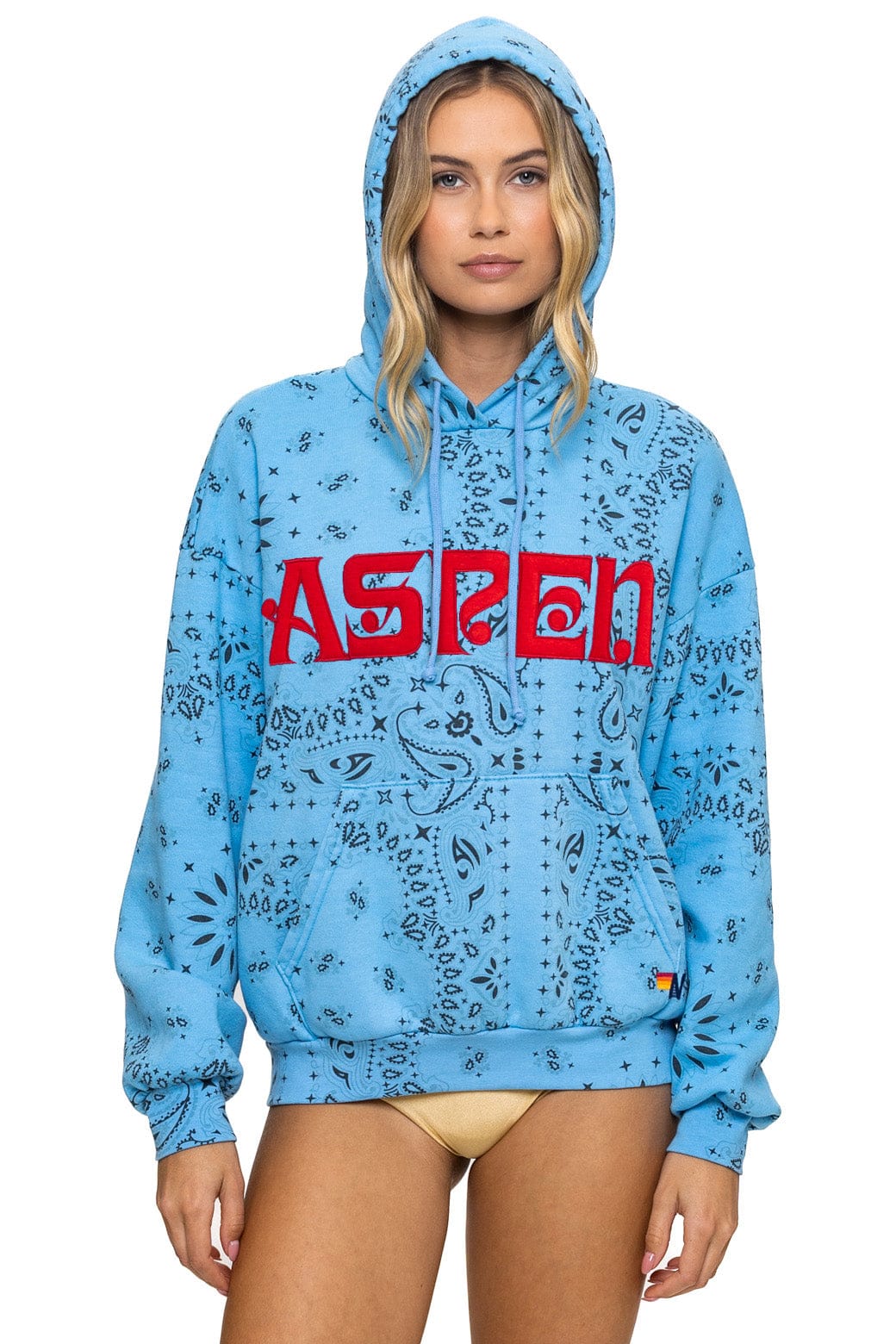 Image of BANDANA ASPEN RELAXED PULLOVER HOODIE - SKY