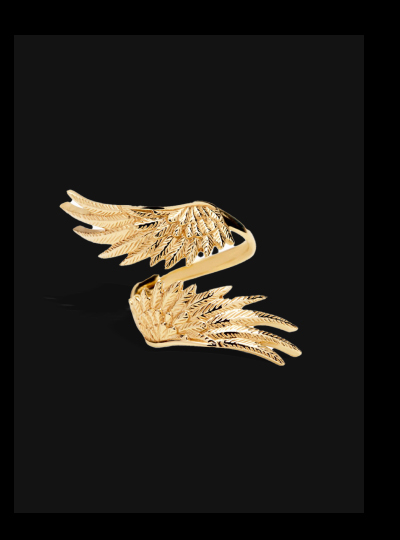 Wing Wrap Ring