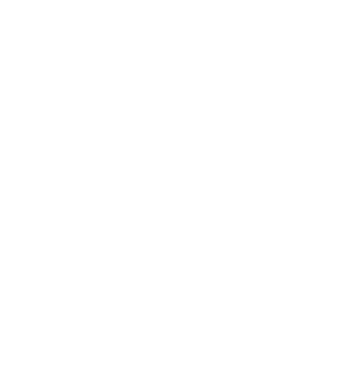 Shop The Collection