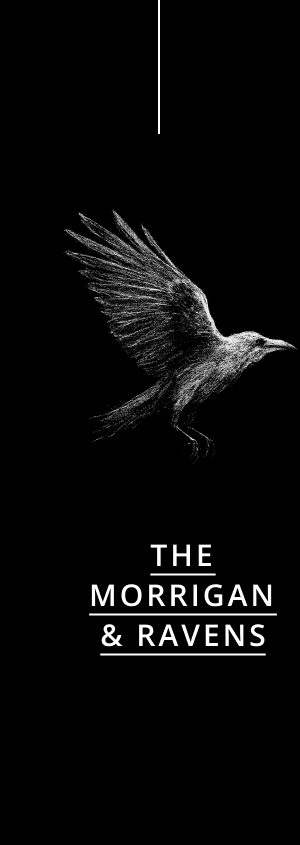 The Morrigan & Raven