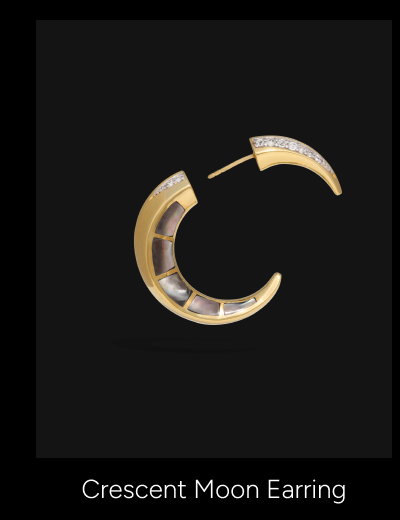 Statement Crescent Moon Earrings
