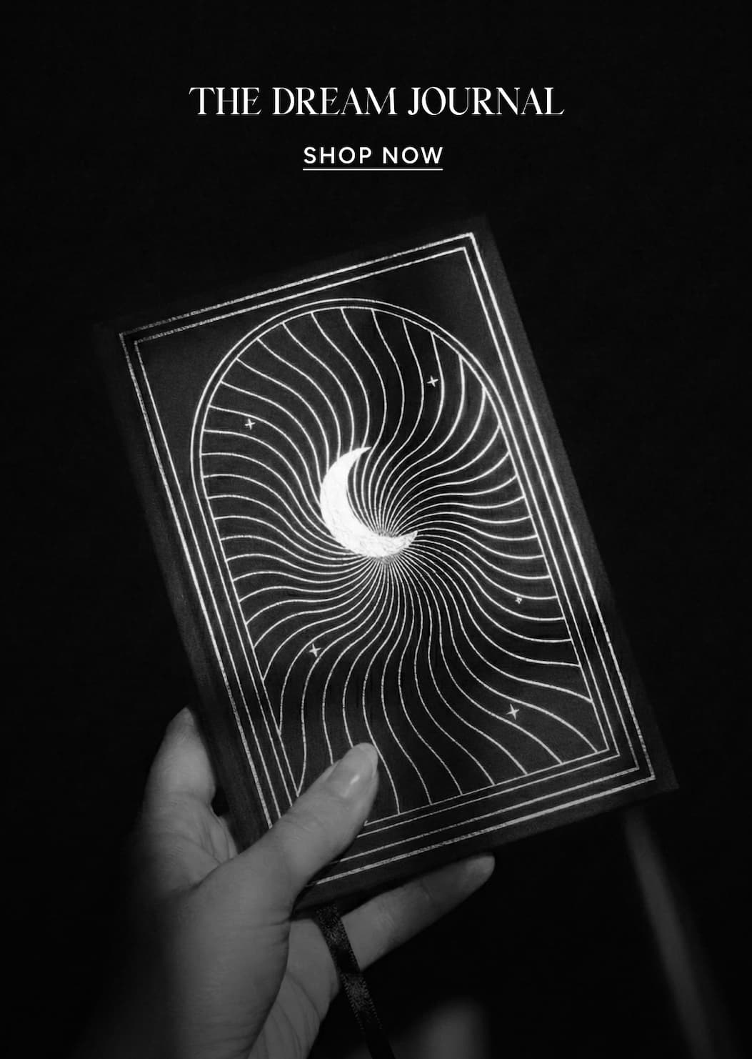 The Dream Journal