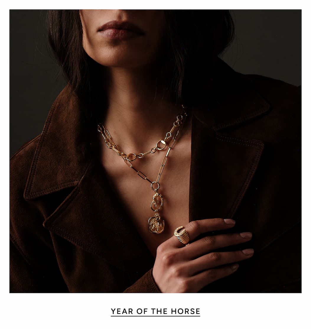 Year Of The Horse