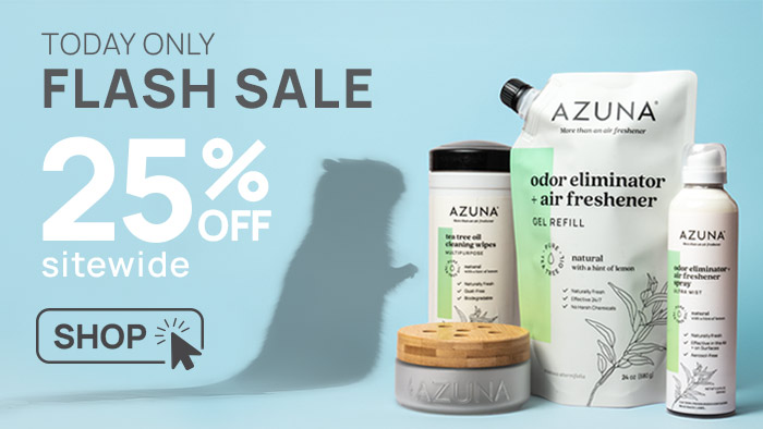 Today only Flash Sale. 25% off sitewide. Shop.