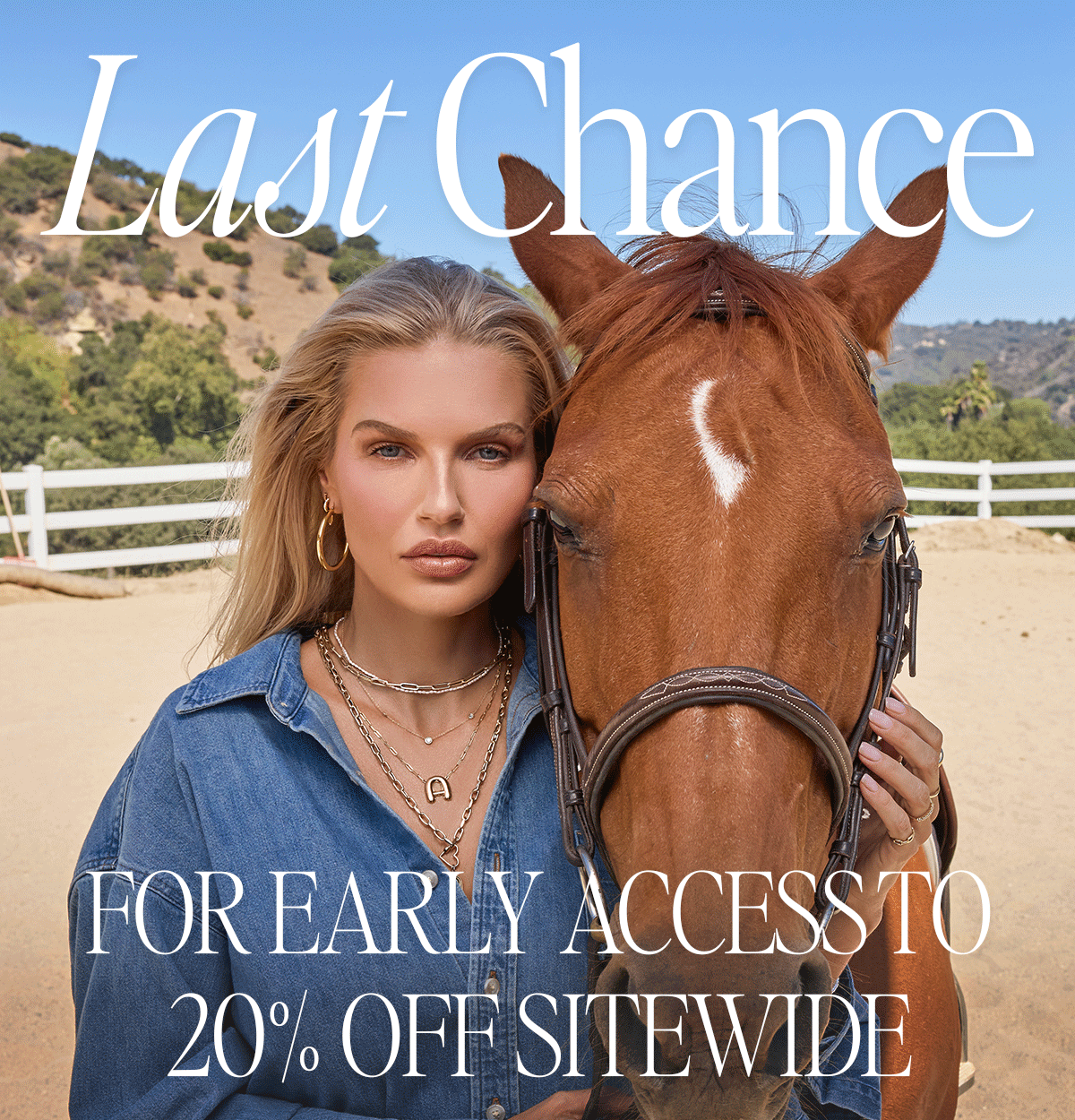 Early Access Ending Soon - 20% off sitewide