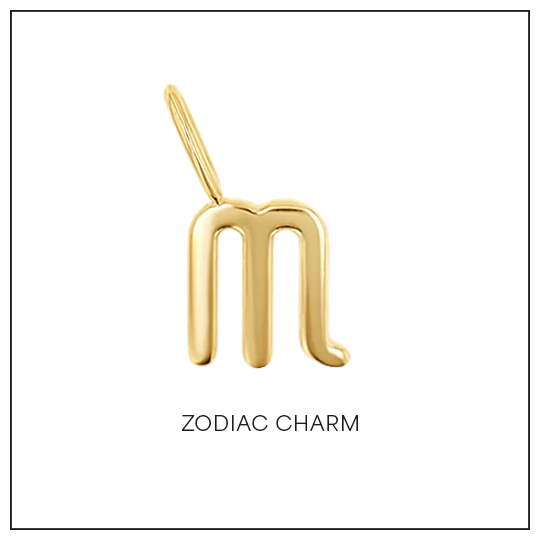 Shop Zodiac Charm
