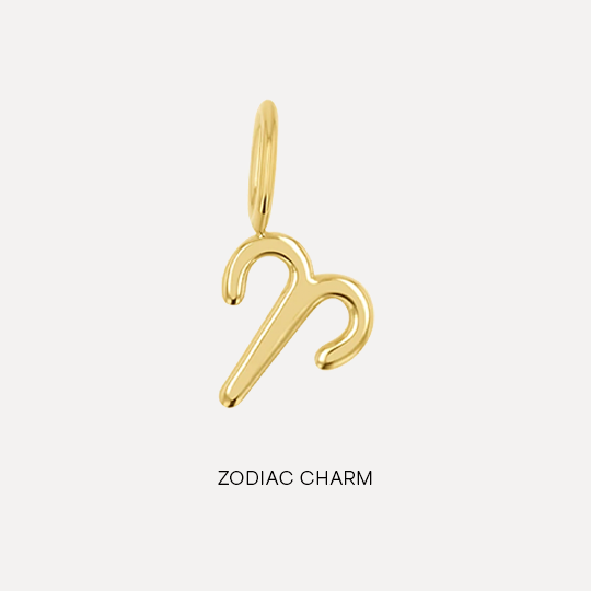 Shop Zodiac Charm