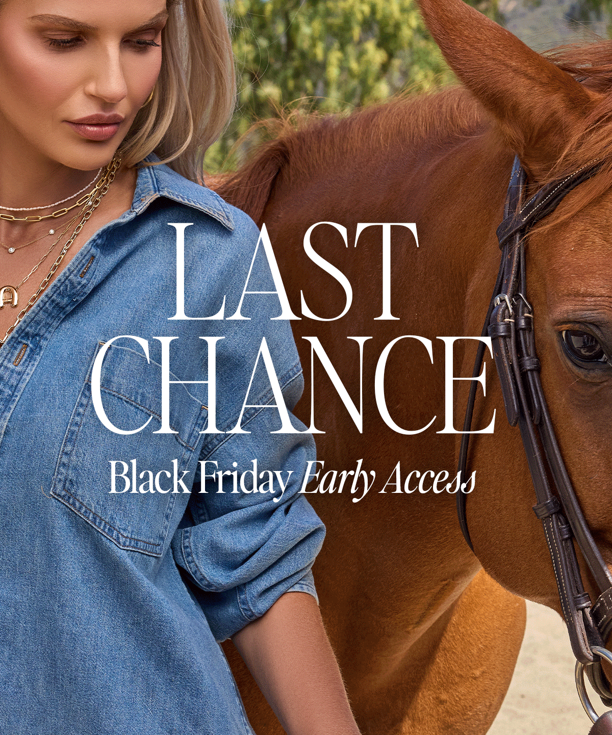 Last chance Black Friday Early Access