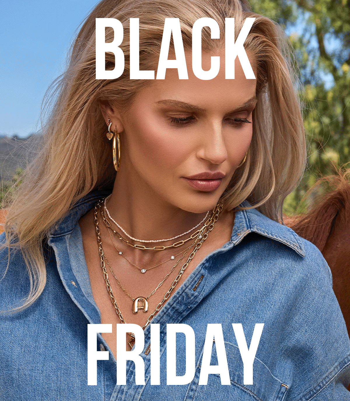 BLACK FRIDAY