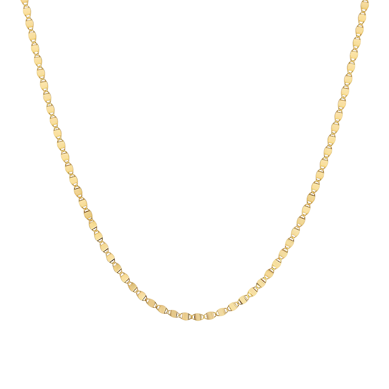 Image of Mirror Chain Necklace