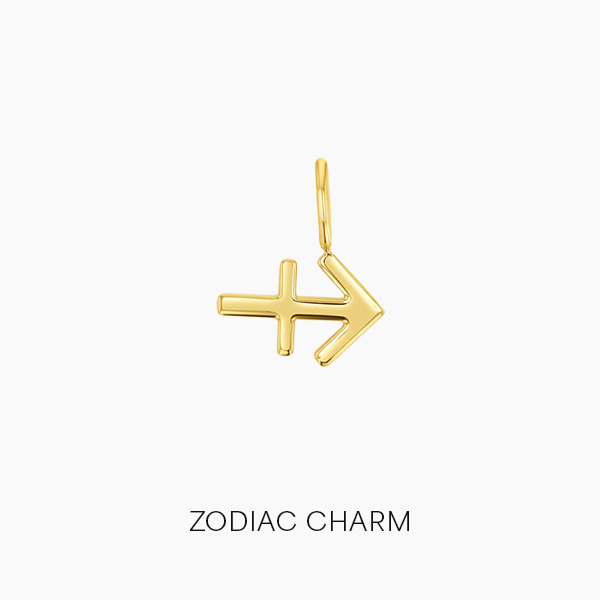 Shop Zodiac Charm