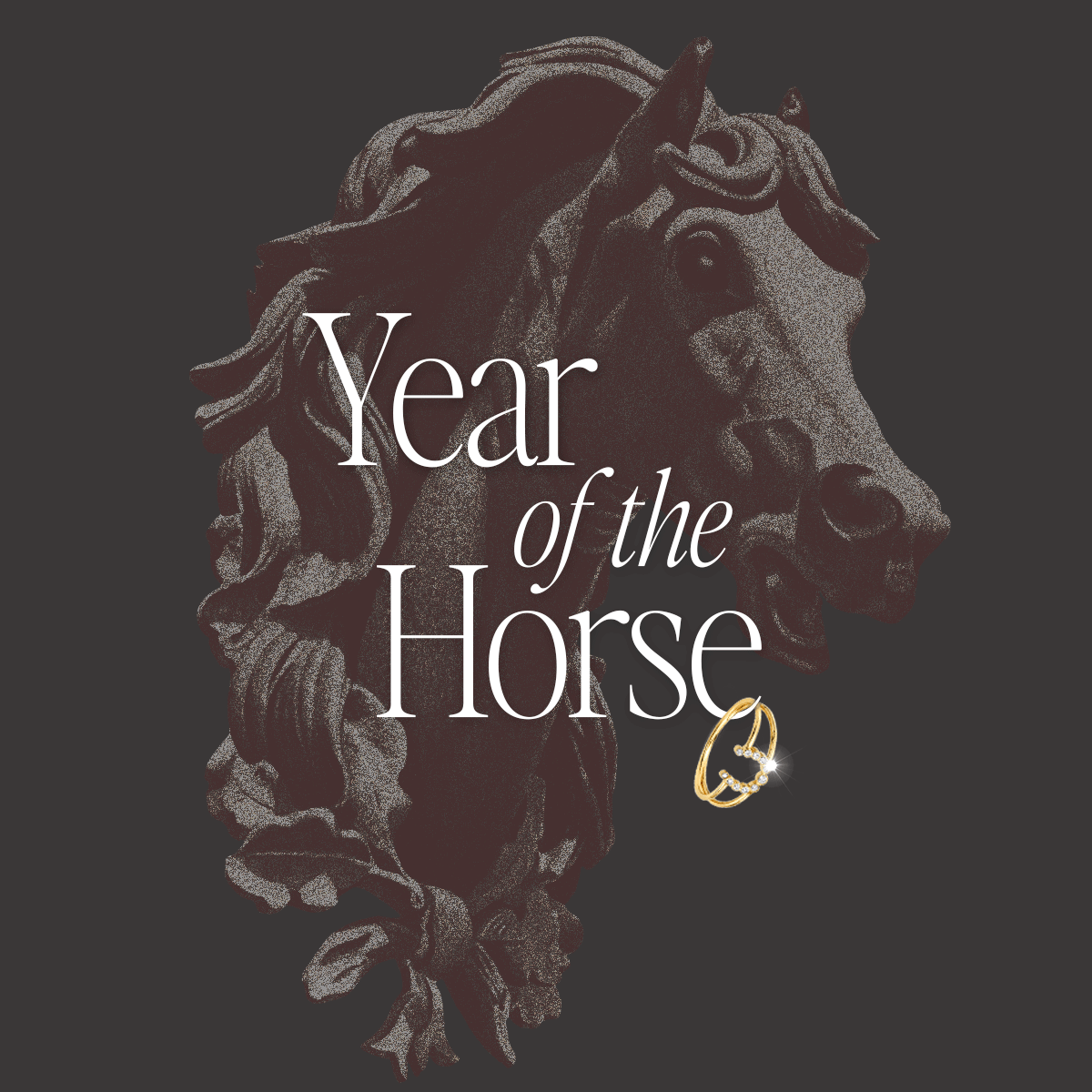 Year of the Horse