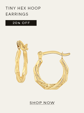 Tiny Hex Hoop Earrings