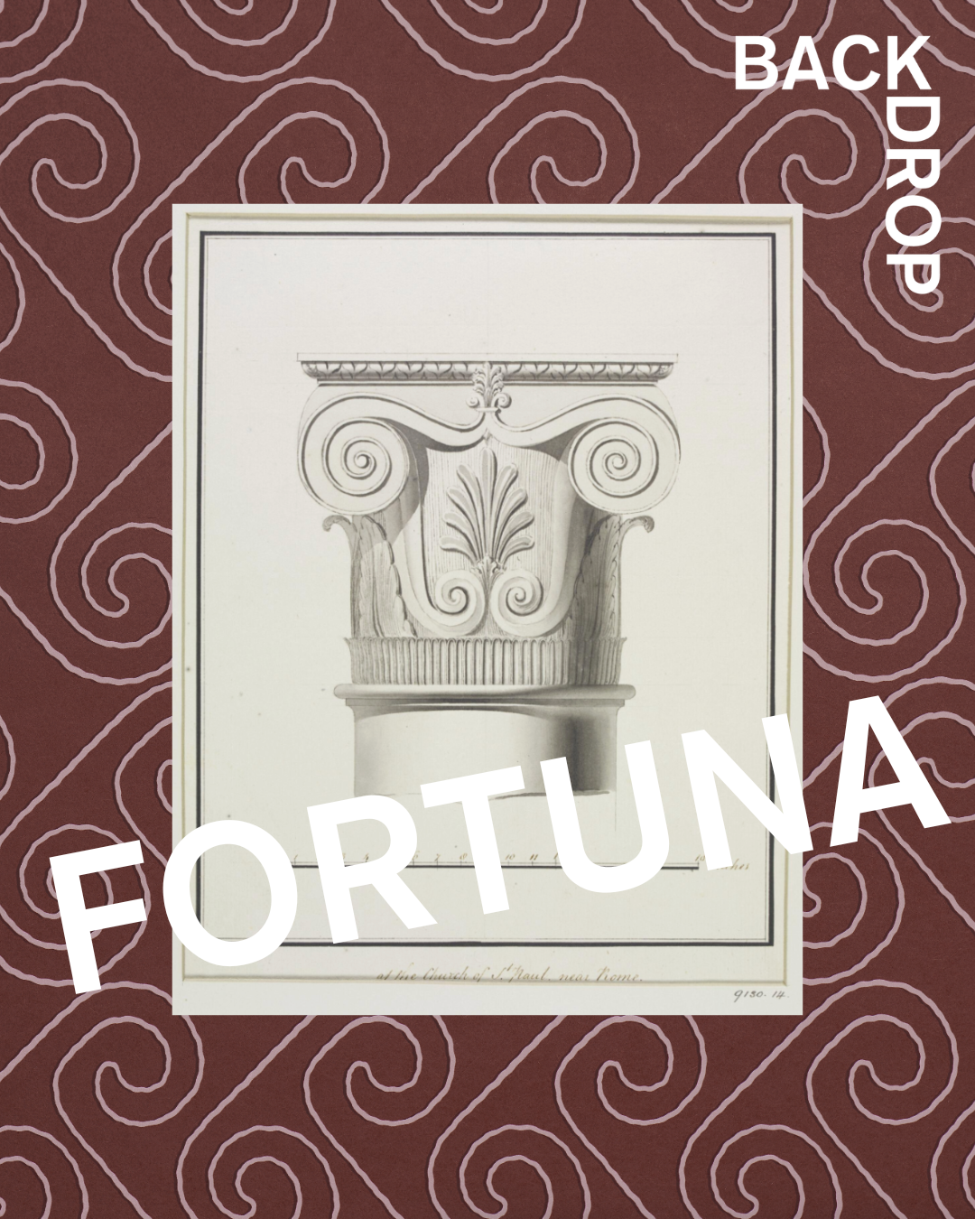 MEET FORTUNA WALLPAPER
