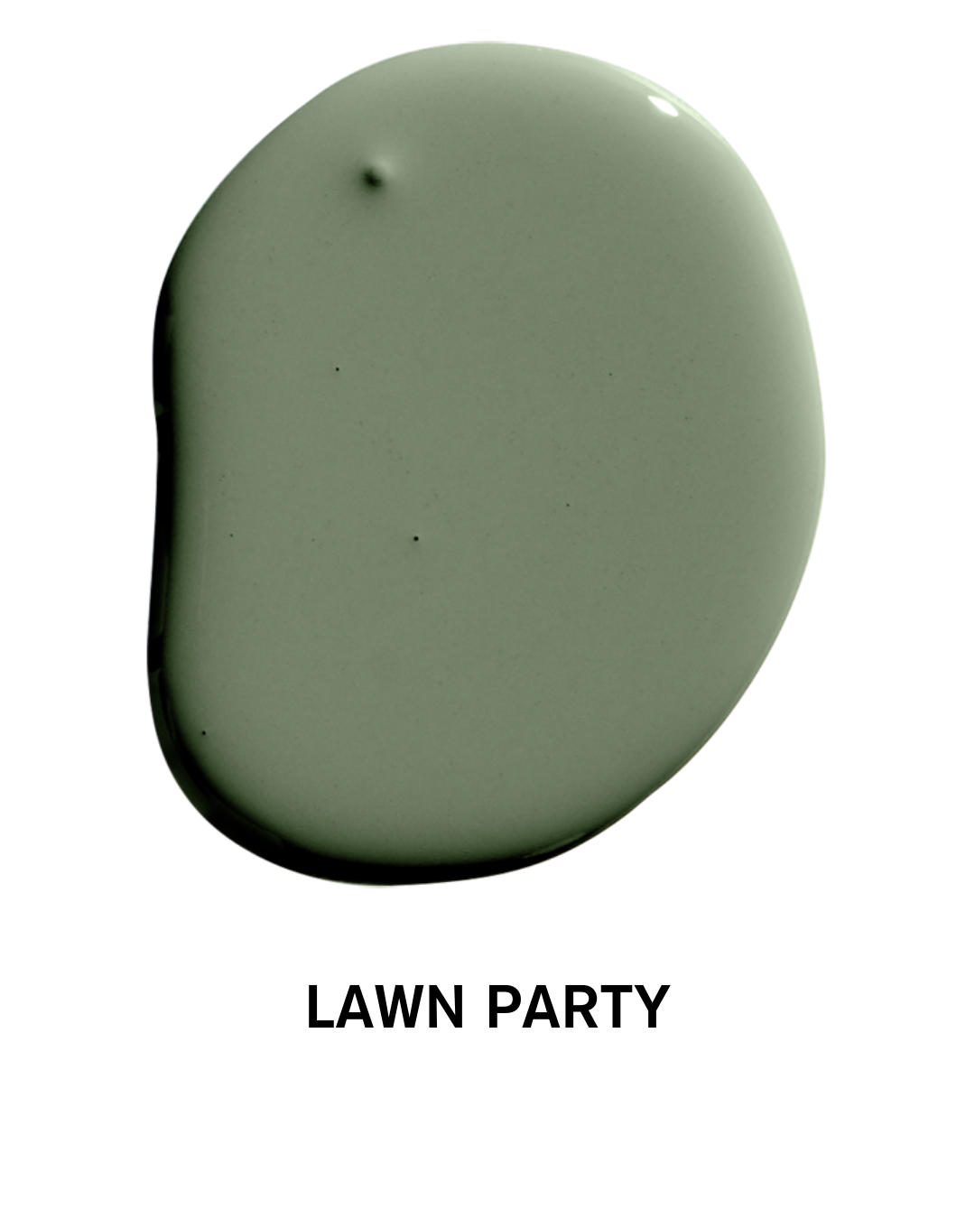 LAWN PARTY