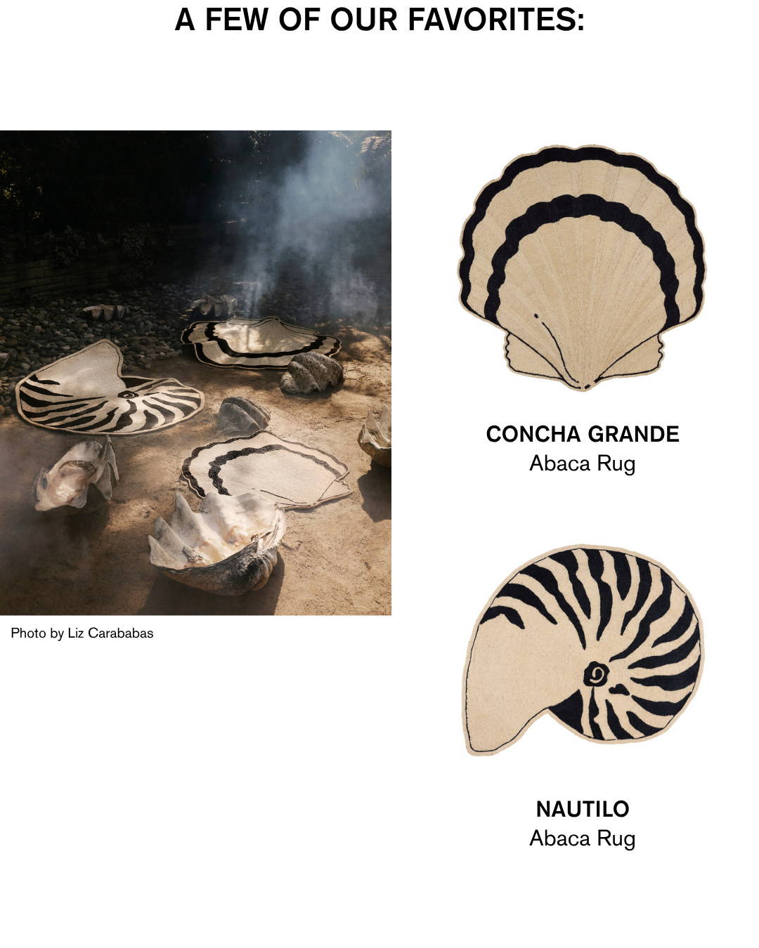 CHH Abaca Rugs