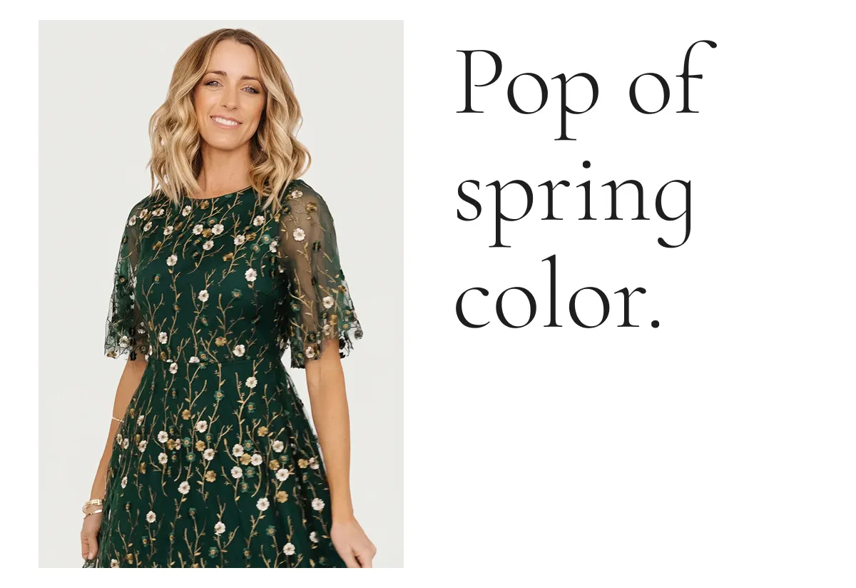 Arabella Embroidered Tulle Maxi Dress