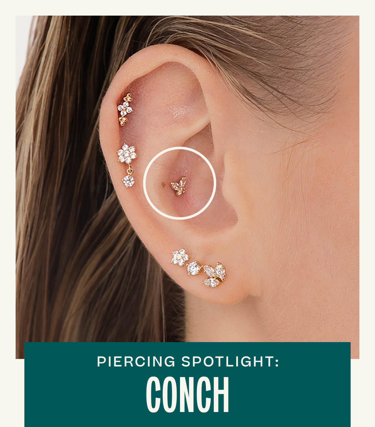 Piercing Spotlight: Conch