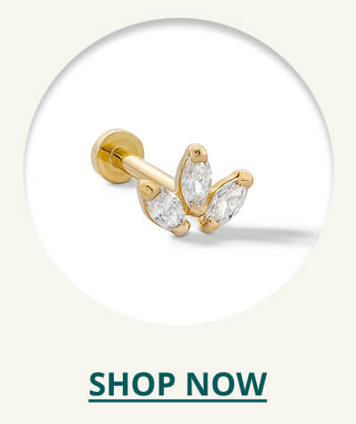 Click here to Shop Now