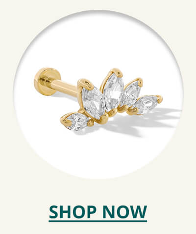 Click here to Shop Now