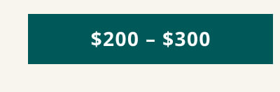 $200-$300