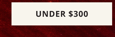 CLICK HERE TO SHOP under $300