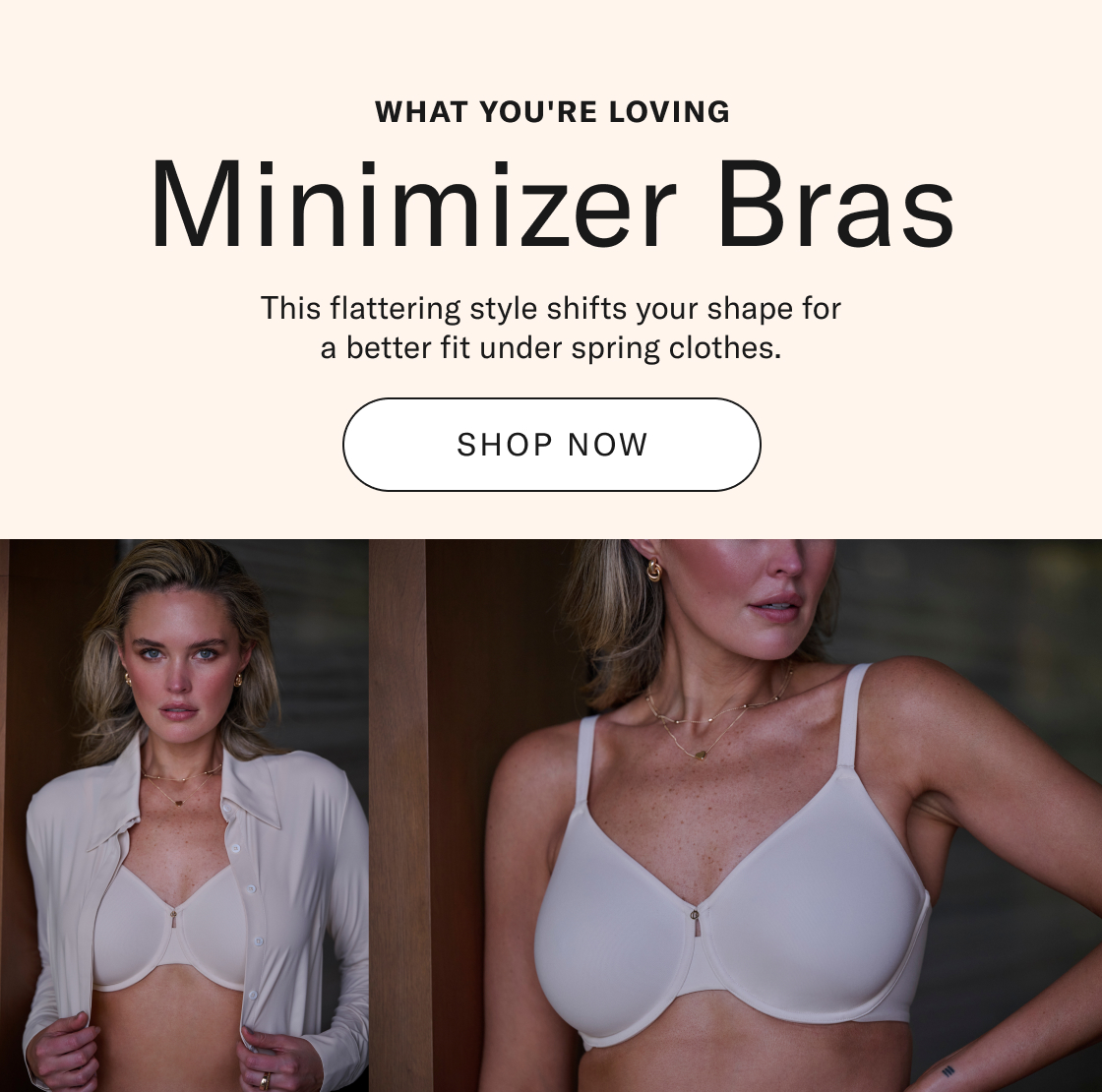 Minimizer Bras