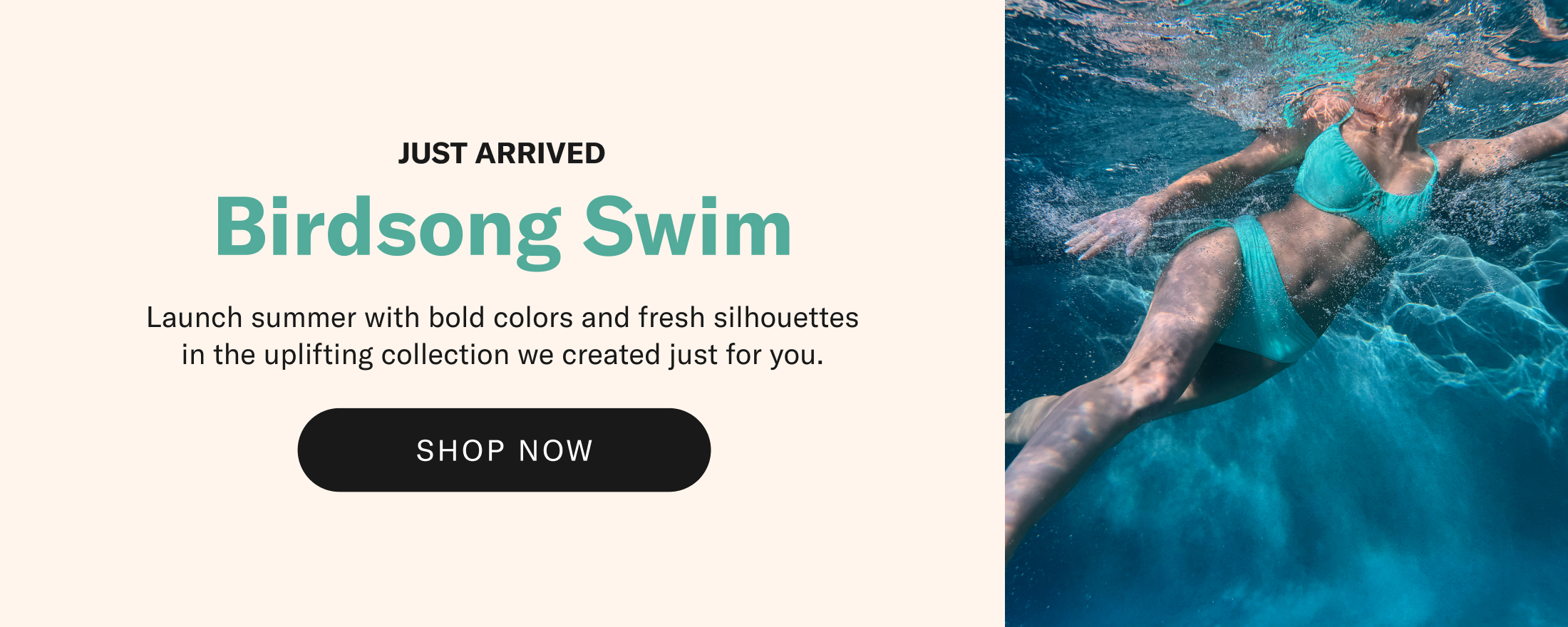 Swim New Arrivals ft Birdsong