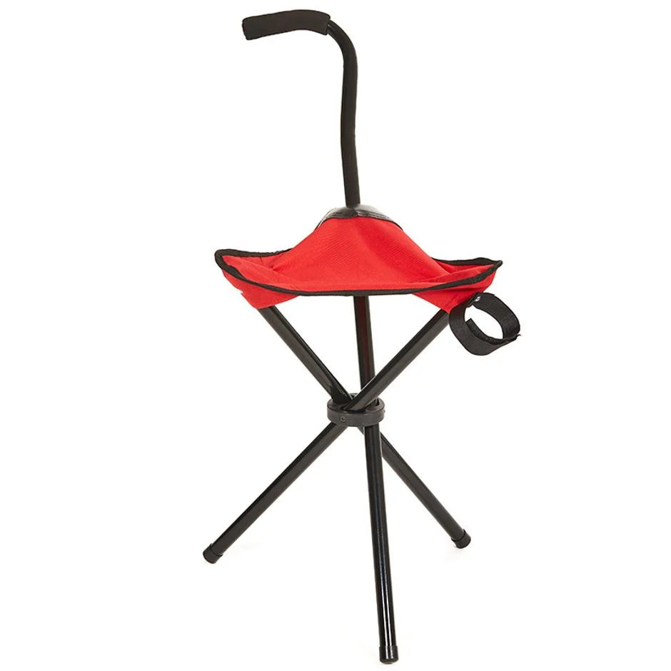 Image of Etna Products Walking Cane Seat