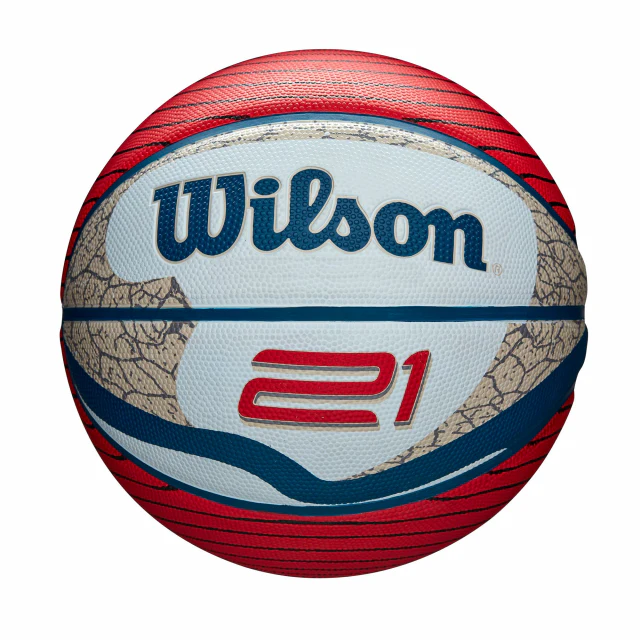 Image of WILSON 21 Series Basketball 28.5