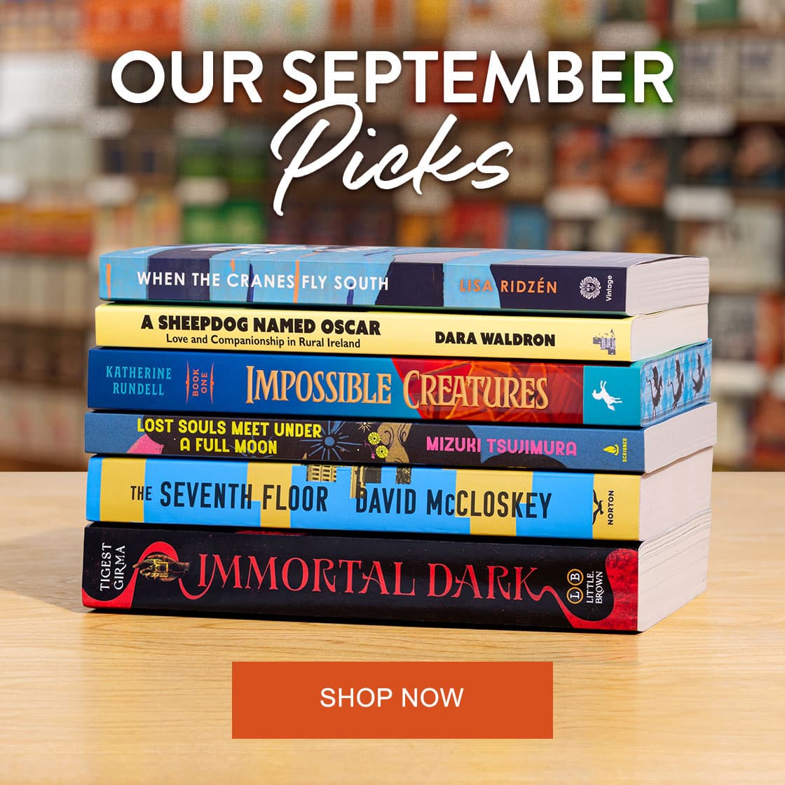 Our September Picks | SHOP NOW