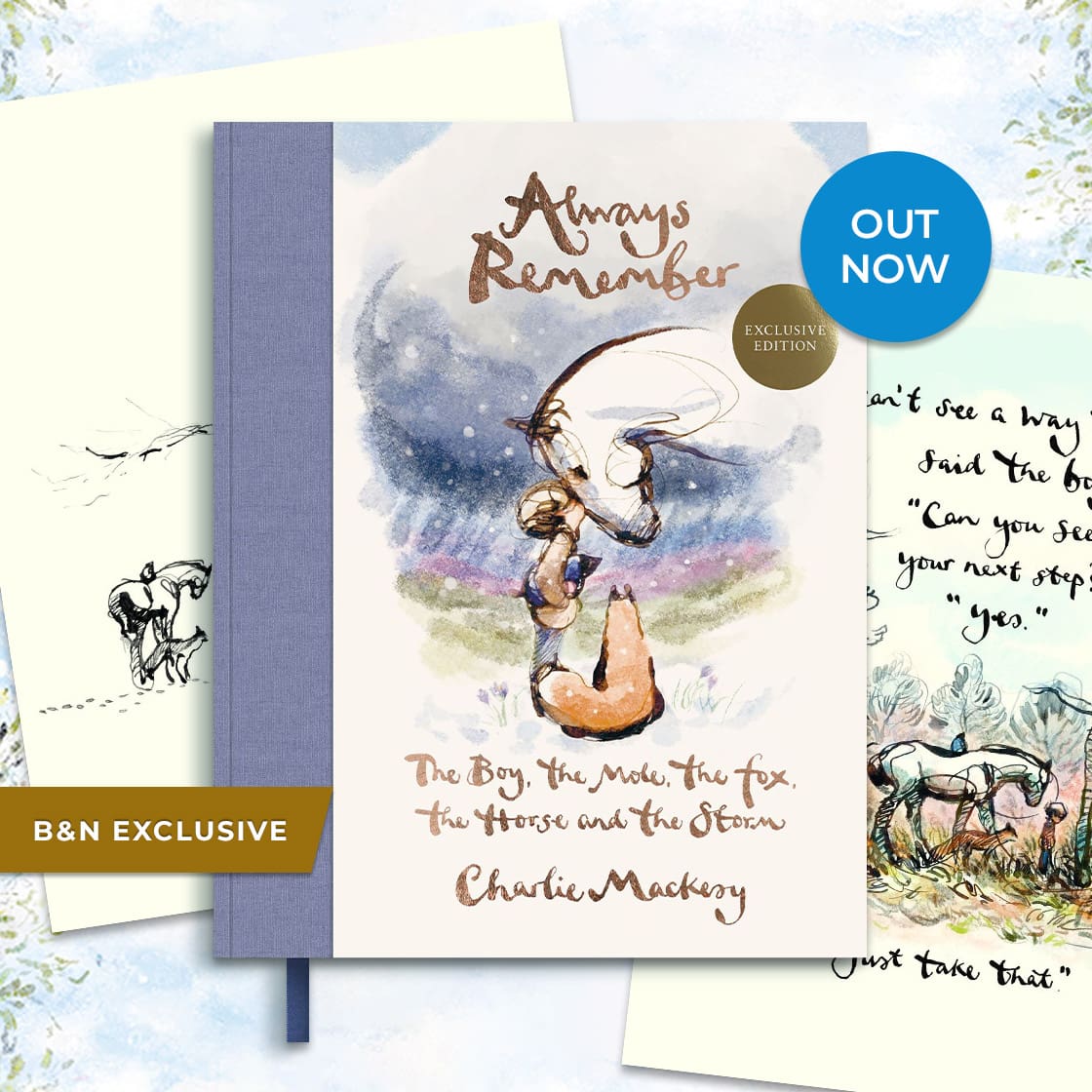Always Remember: The Boy, the Mole, the Fox, the Horse and the Storm (B&N Exclusive Edition) by Charlie Mackesy