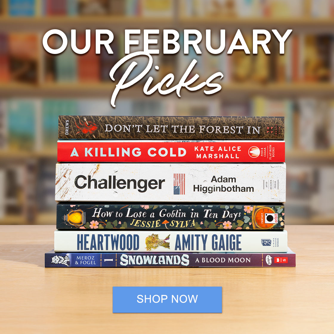 Our February Picks - SHOP NOW