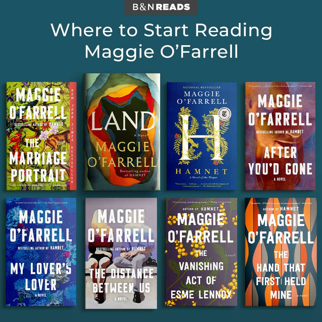 Hamnet, Land: A Novel, Marriage Portrait, After You'd Gone: A Novel, Distance Between Us: A Novel, Vanishing Act of Esme Lennox, My Lover's Lover, Hand That First Held Mine