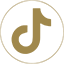 TikTok Logo