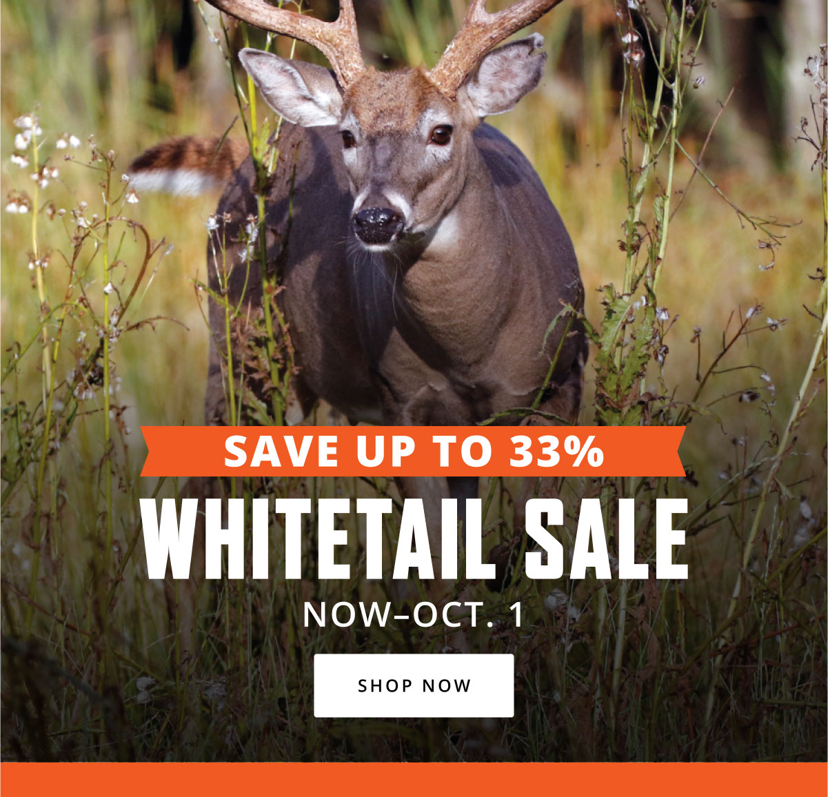 Oct 1 Hunt Version