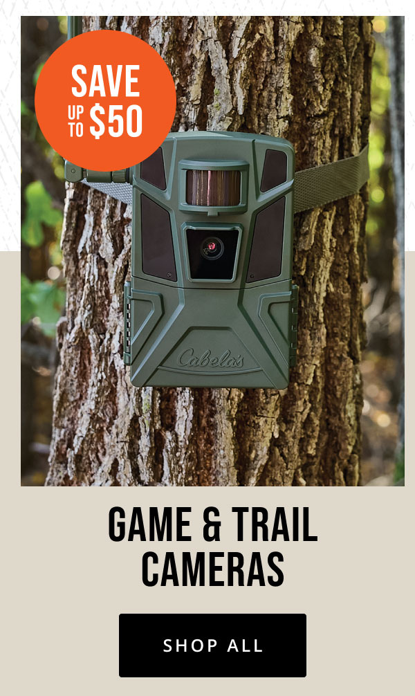 Whitetail Sale