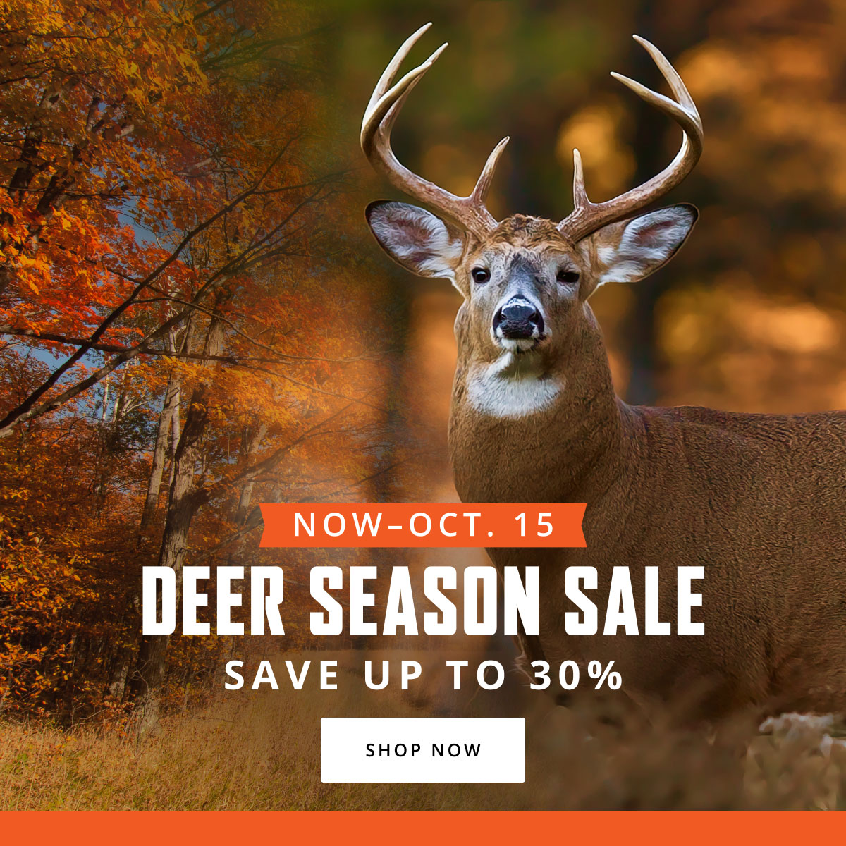 Deer Hunting Temp Event