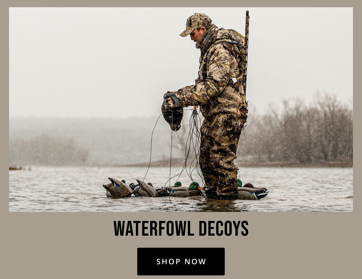 Waterfowl Migration