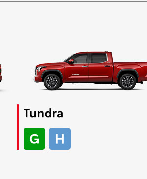 Tundra