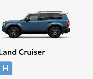Land Cruiser 