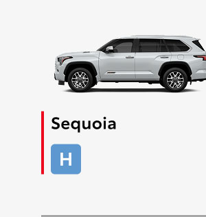 Sequoia