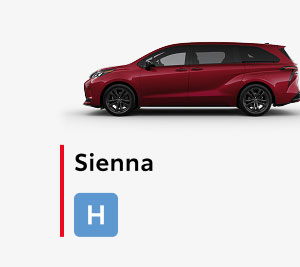 Sienna 