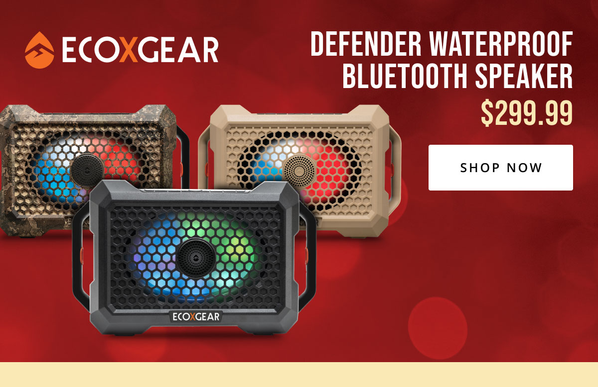 Gift Guide
