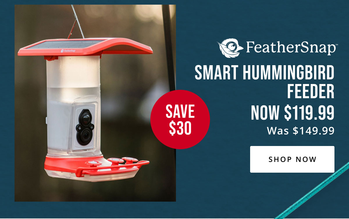 Mothers Day Deals